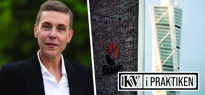 Sus-direktören: sluta ”snuttifiera” utvecklingsarbetet